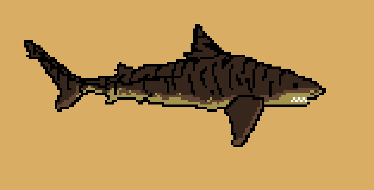 Tiger Shark