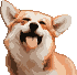 [dfdafc] Dog_36