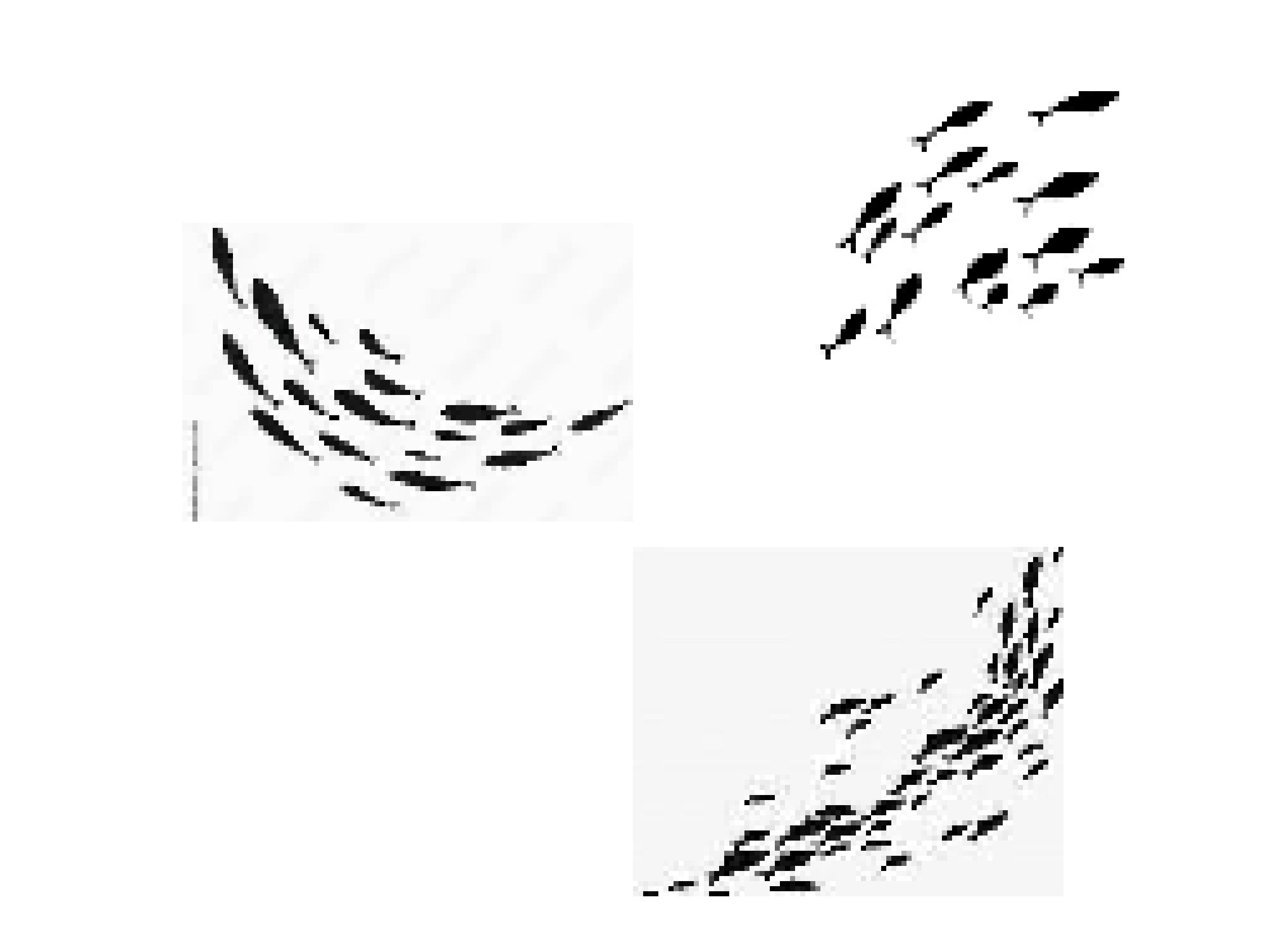 [56bc2e] fishiiiii8d