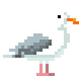 Seagull 1