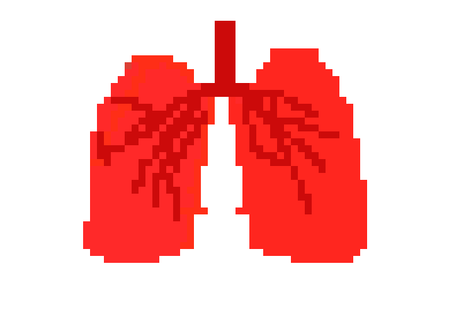[2b4978] LUNGS! By Chloe L