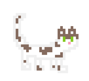 [a0692c] Andrea the cat