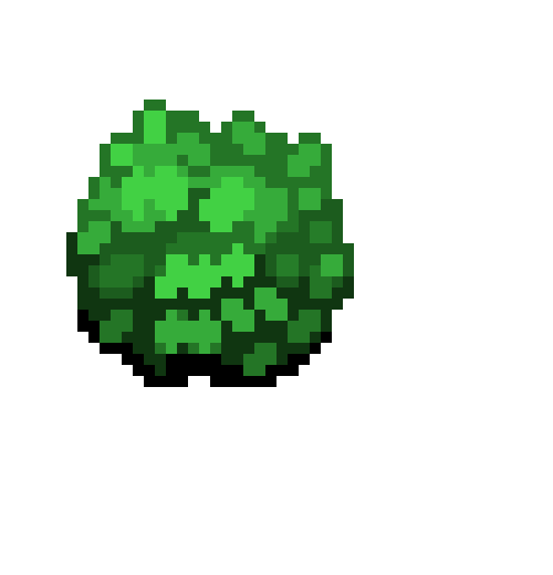 Bush