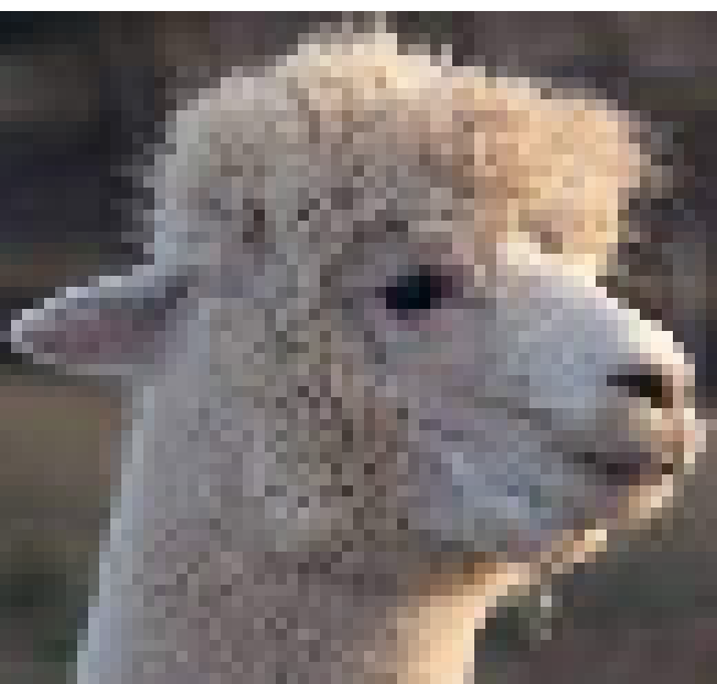 [30aad9] lama 