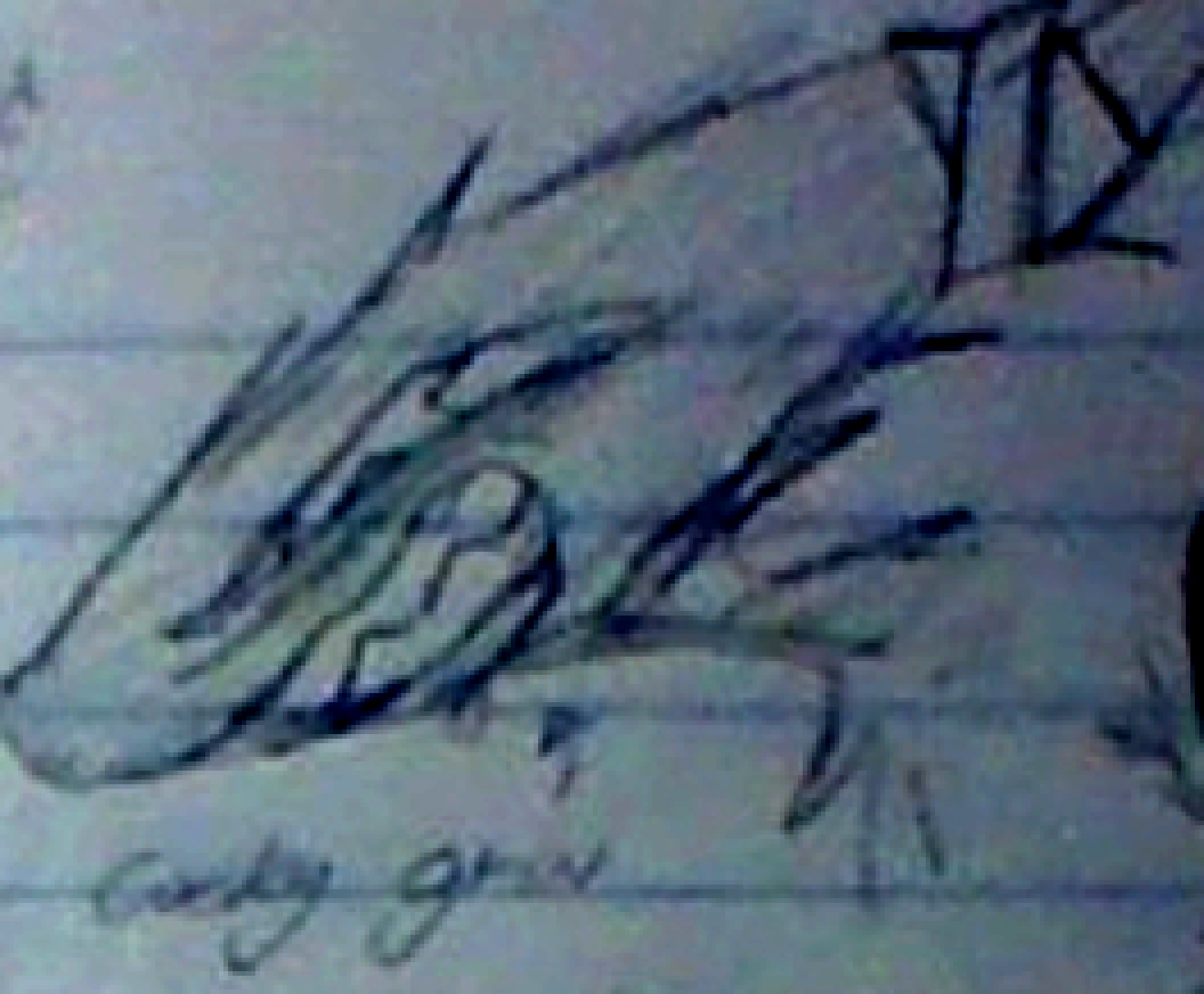 [e0c3cc] I want the eyes of this whole ROTTING WORLD! anyays- everyone hates me as per usual-