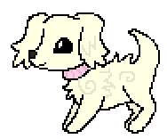 [9664c4] Puppy