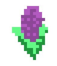 [114d10] hyacinth