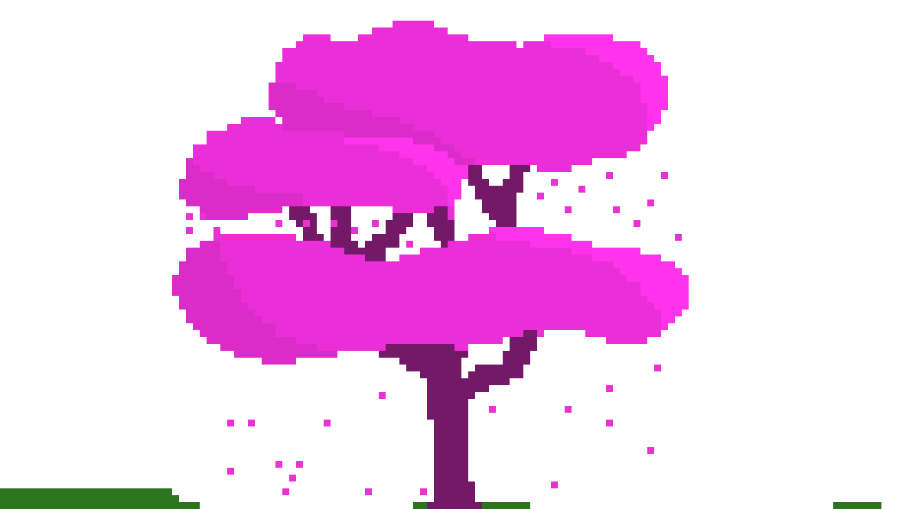 [ae0ba6] cherry blossom