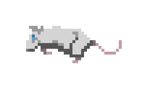 [1446f0] rat3