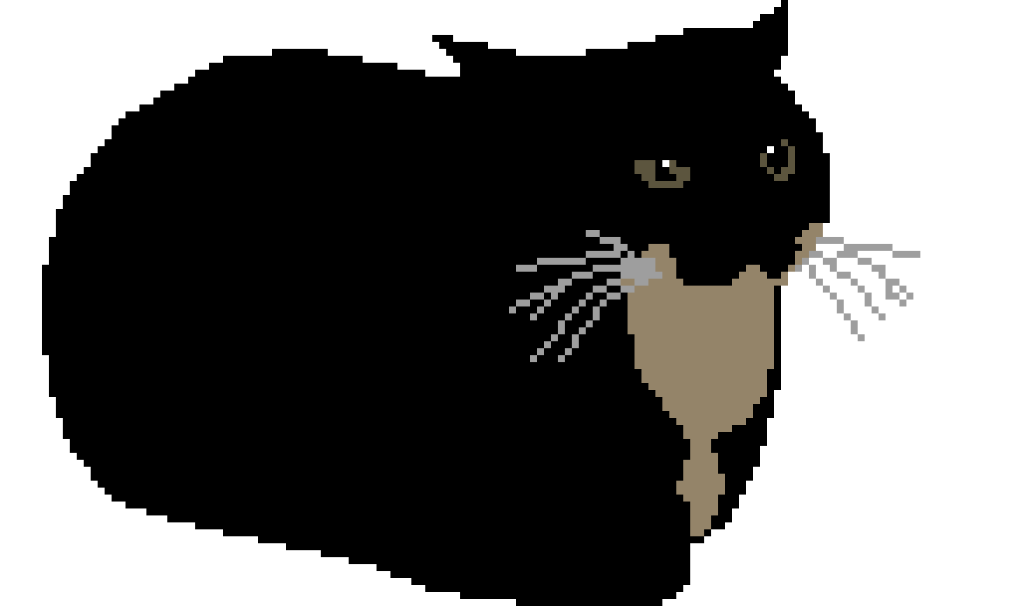 [07e19f] Maxwell the cat