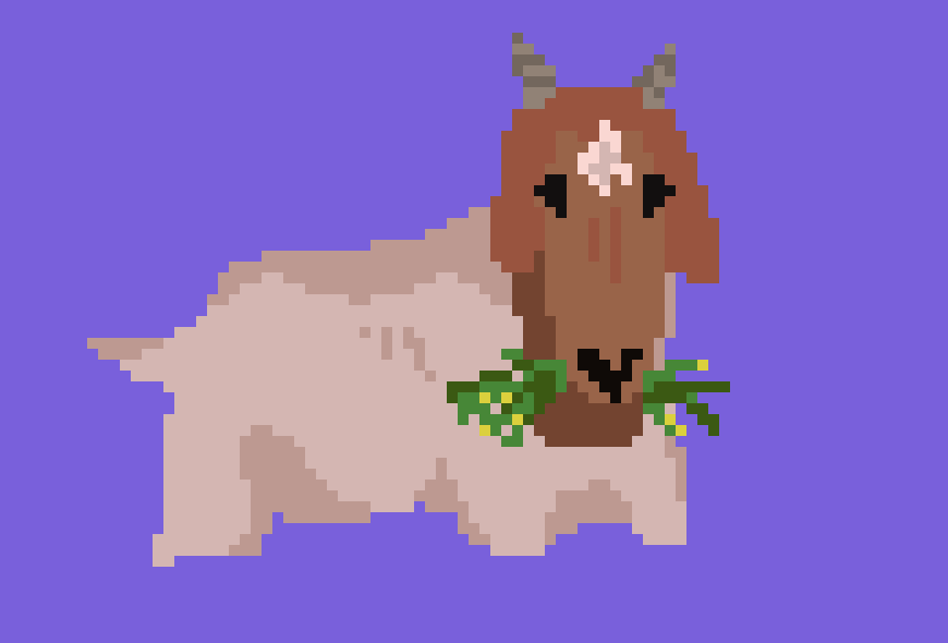 [68550d] boer goat