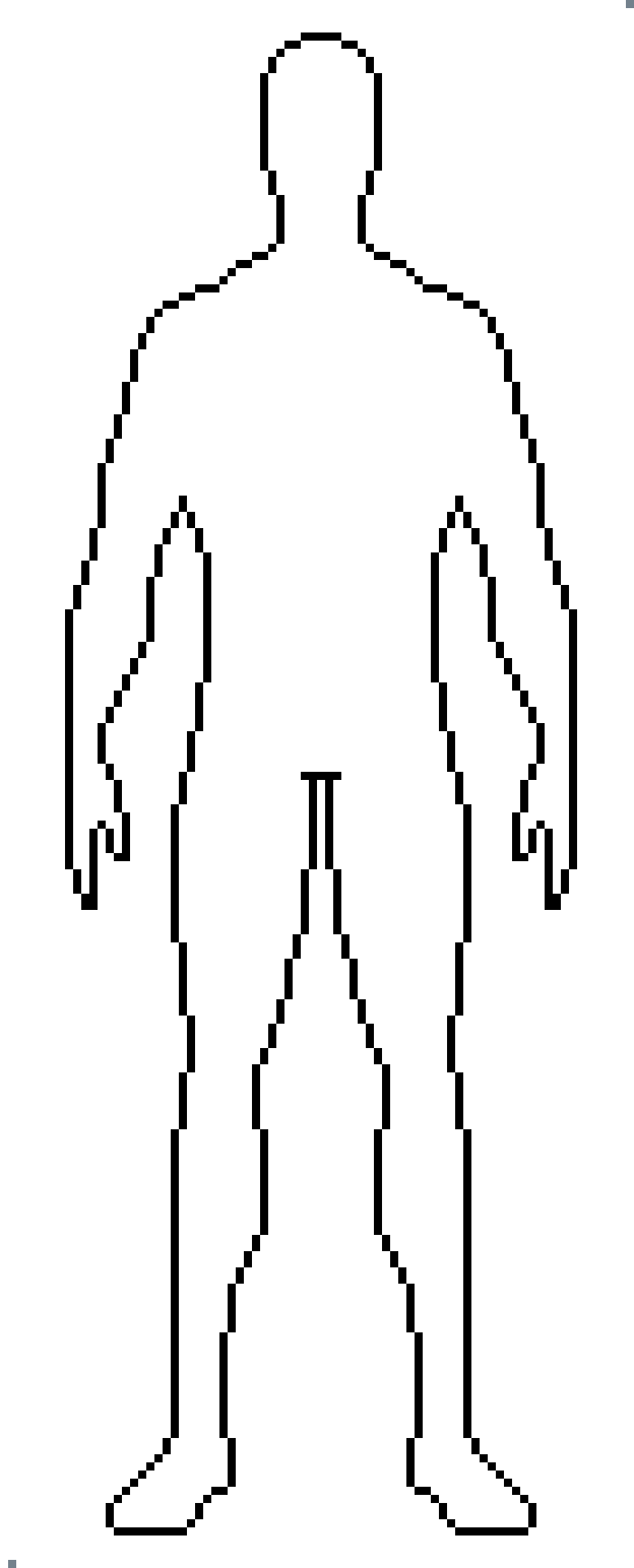 body wip