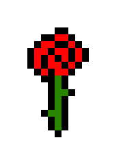 [9664c4] rudy rose