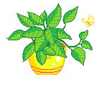 [f8d111] plant