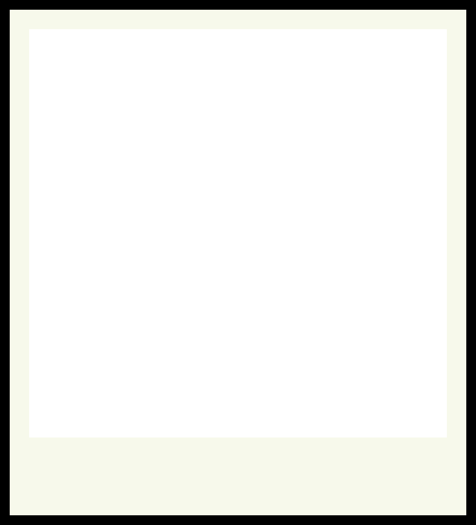 [cfe89f] PolaroidEmptyDemo