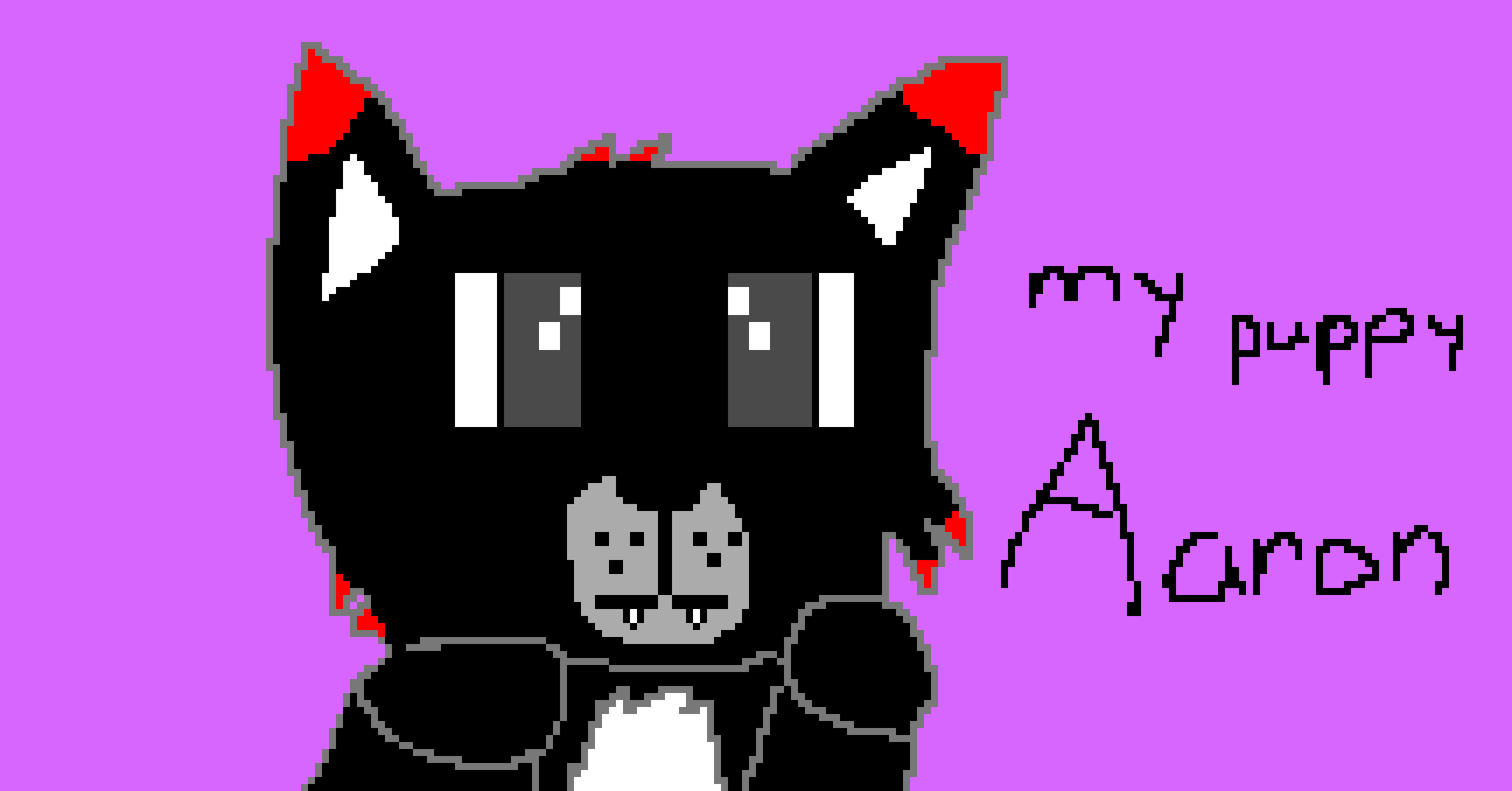 [9664c4] My puppy Aaron