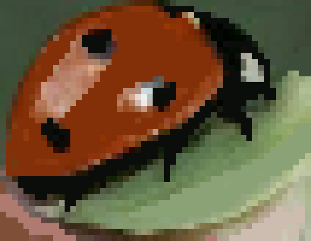 [b32d55] coccinelle