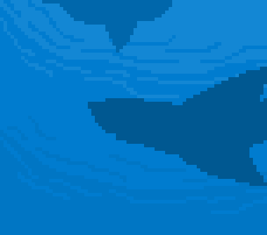 [fd4684] sharks.