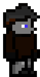 [ccfc81] TERRARIA