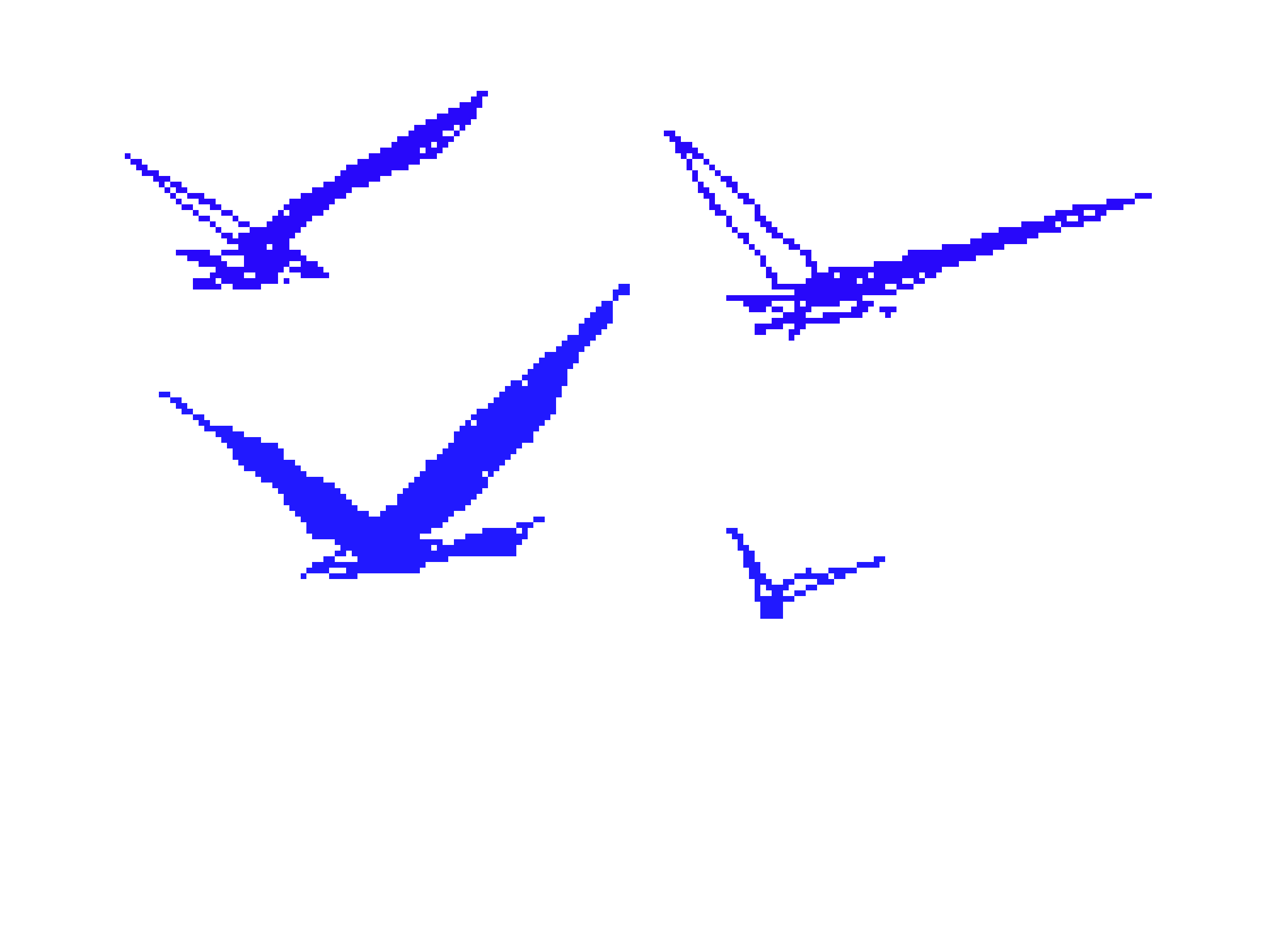 [00e9fa] BIRD