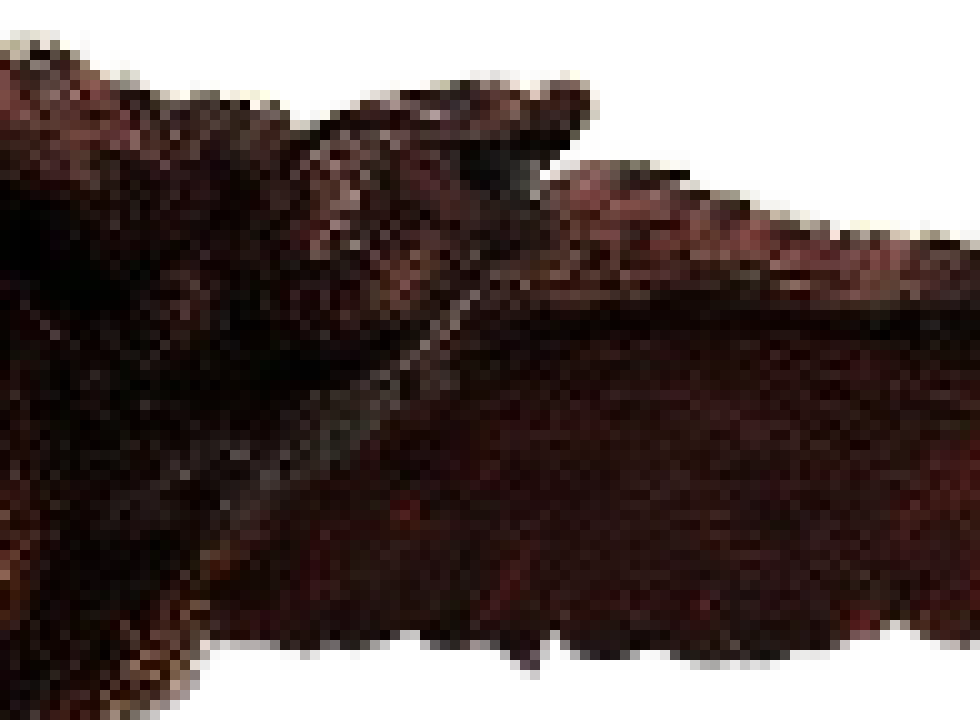 [093f3b] rodan