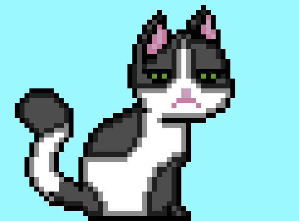 [9664c4] Kitty