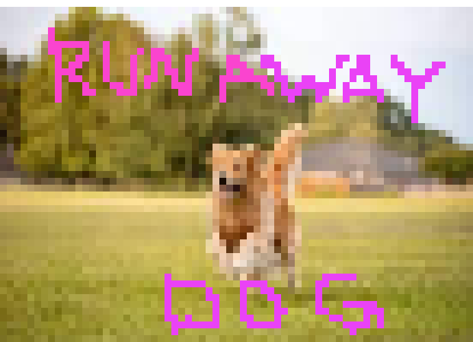 [286da8] dog