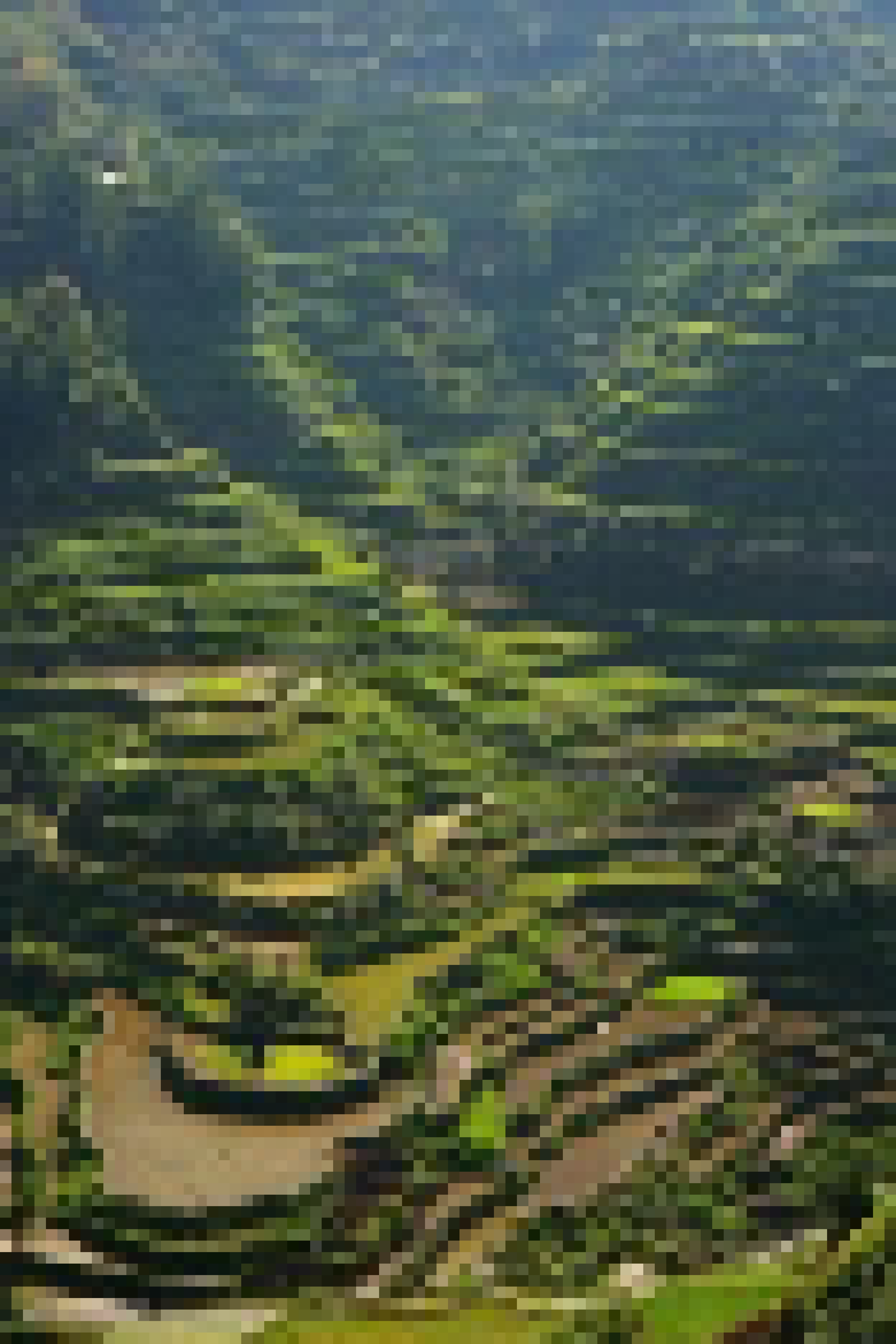 [4633f8] tera