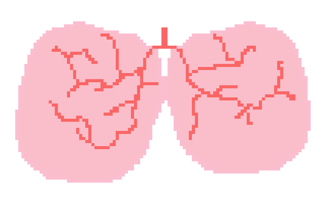 [401978] pixal lungs