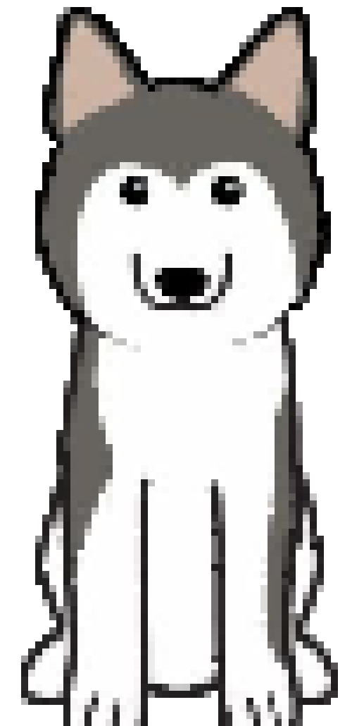 [0effdc] sitting Husky