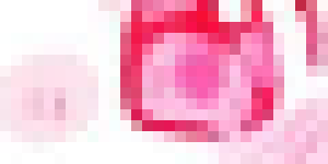 [45a4d0] *GAY PINK SCREAM-* -BD
