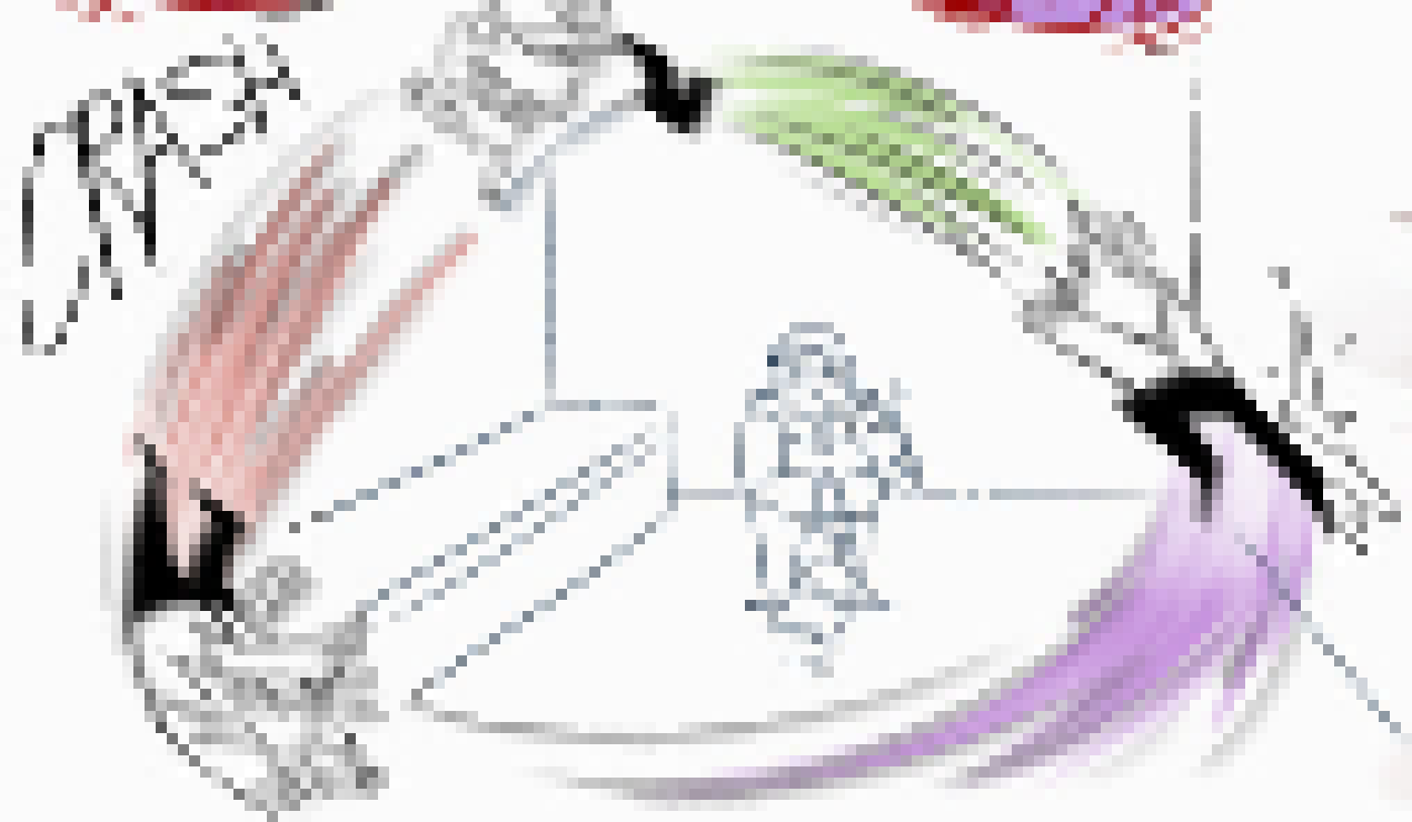 [8048ed] god Damn this aneurysm dream music hits HARD