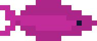 [811e96] fish5