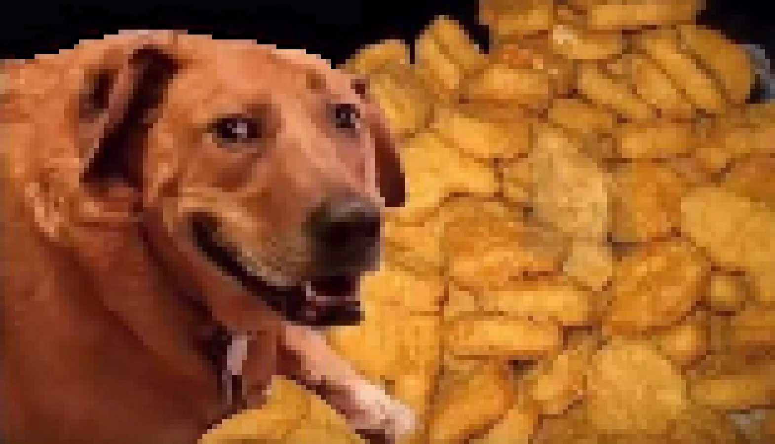 [46bd03] (nuggets.)