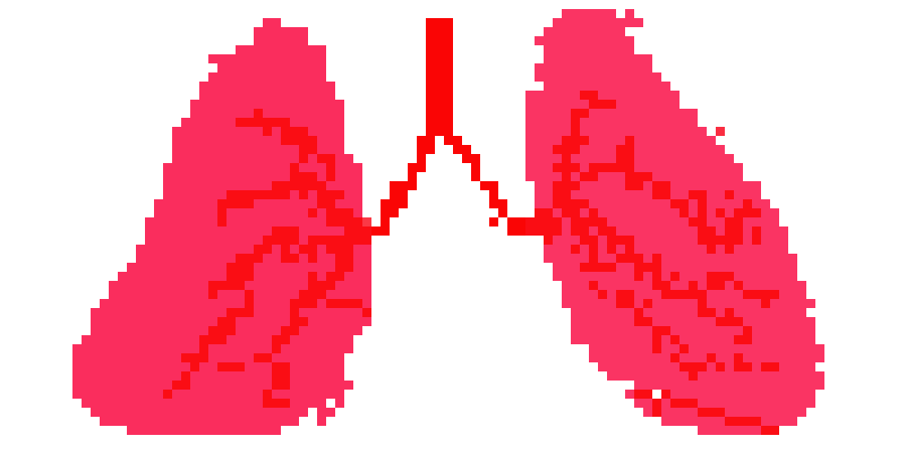 [2b4978] Lungs
