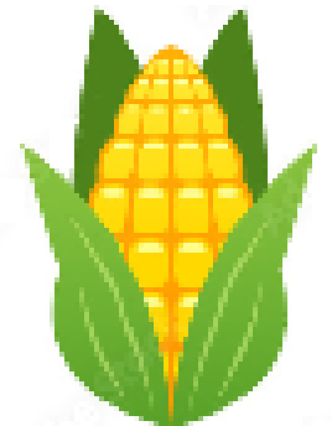 [1134b5] corn