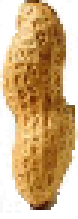 [6c8297] peanut