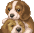 [dfdafc] Dog_21