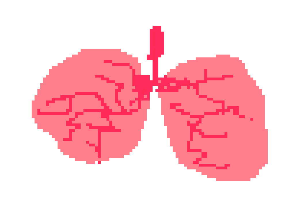 [401978] pixel lungs