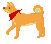 [9664c4] shiba dog