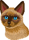[b8710f] animal_nhung_4