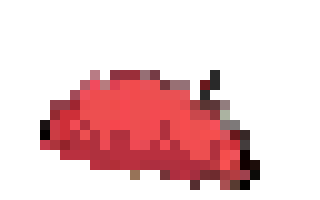 [0e5322] gorro