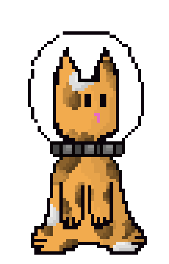 [f8b300] Octo-CAt