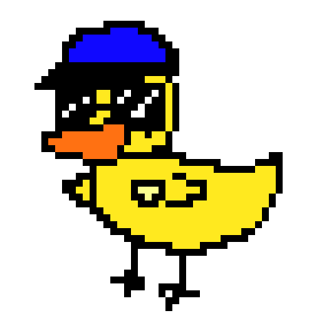 [134912] DUCK