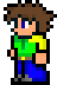 [9664c4] Terraria Me