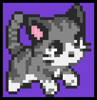 [9664c4] Cute cat :3