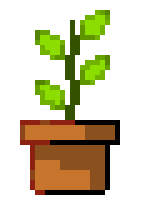 cute plant