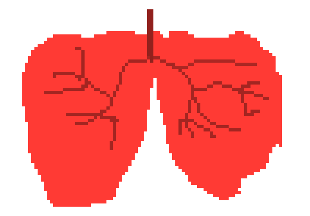 [401978] pixel lungs