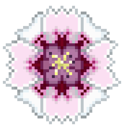 [c52879] Sweet William