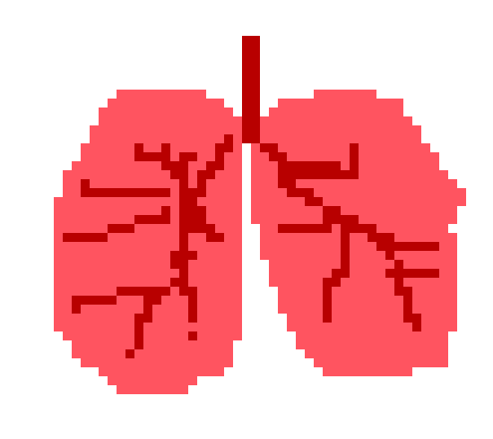 [401978] pixel lungs